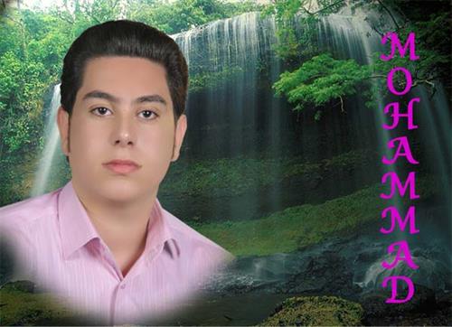 mohammad&nbsp;mohseni